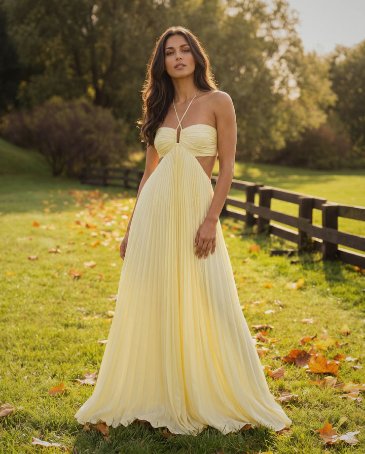 Pleated Cut-Out Gown