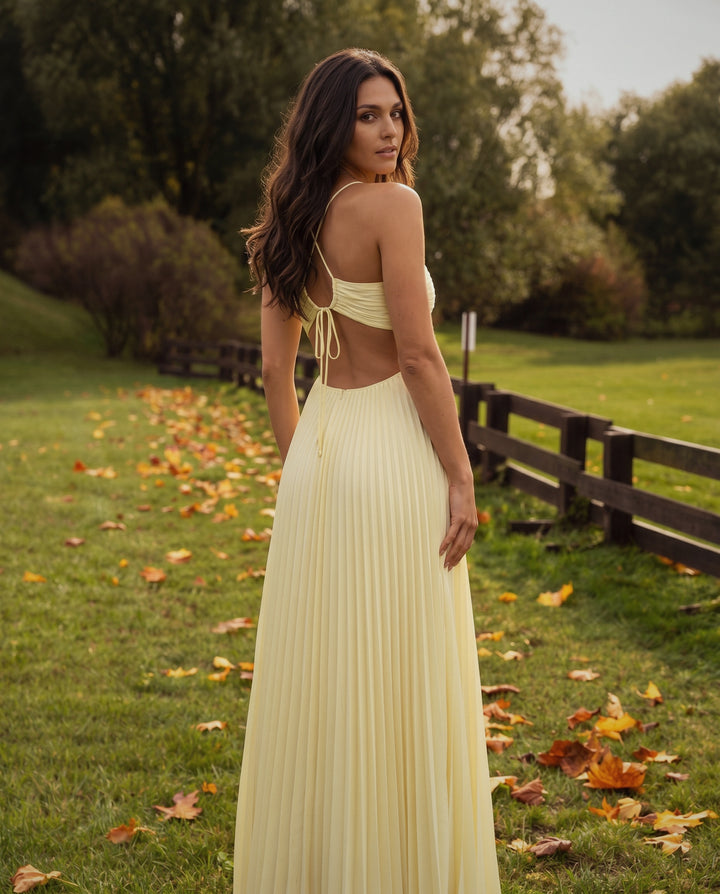 Pleated Cut-Out Gown