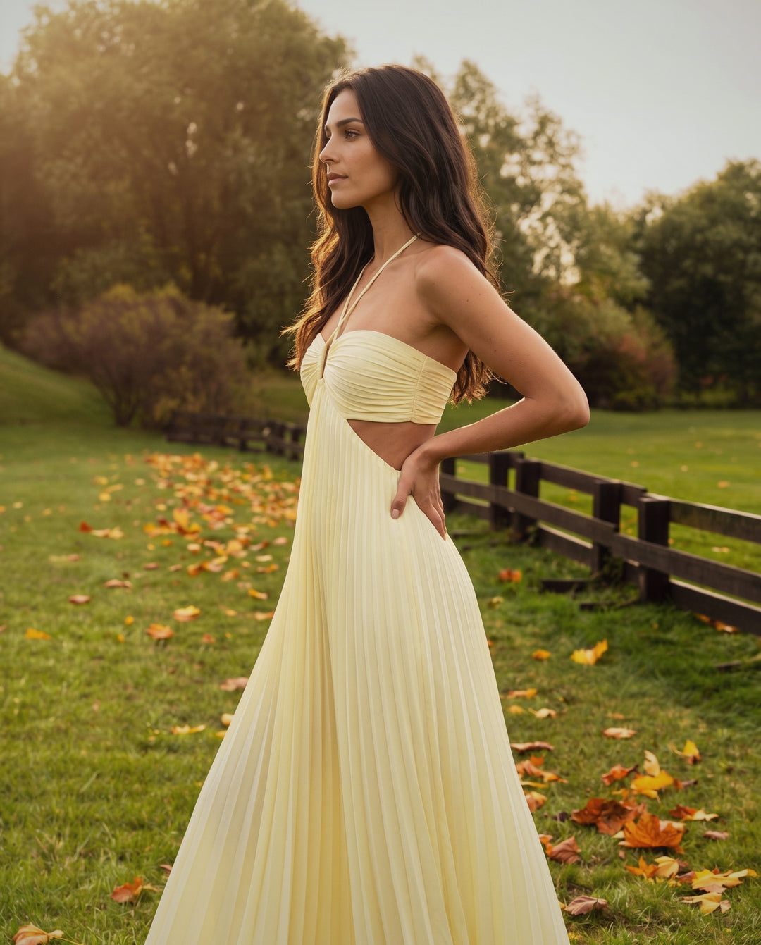 Pleated Cut-Out Gown
